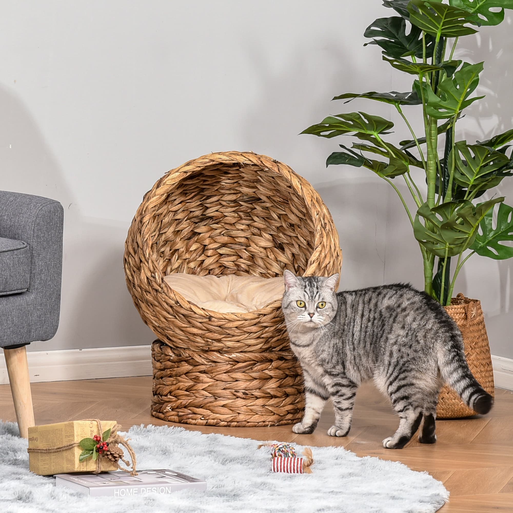 20" Natural Braided Banana Leaf Elevated Cat Bed Basket with Cushion - Brown
